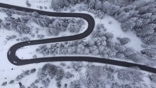 ルーマニアの山の風景を切断湾曲した風の道の冬の空中4K映像 ポアニア ブラゾフ — ストック動画