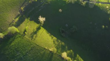 Karpat dağlarının vadilerinde uzak Romen köyü olan havadan dağ manzarası. İlkbaharda ağaçların açtığı kırsal bir manzara.