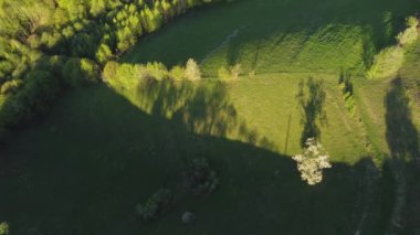 Karpat dağlarının vadilerinde uzak Romen köyü olan havadan dağ manzarası. İlkbaharda ağaçların açtığı kırsal bir manzara.