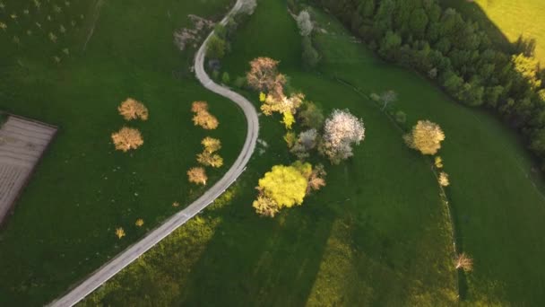 Paysage montagneux aérien avec village roumain isolé en montée dans les vallées des montagnes des Carpates. Scène rurale au printemps avec des arbres en fleurs