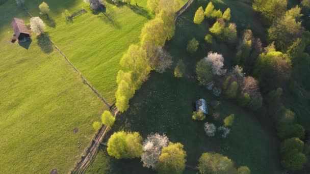 Paysage montagneux aérien avec village roumain isolé en montée dans les vallées des montagnes des Carpates. Scène rurale au printemps avec des arbres en fleurs