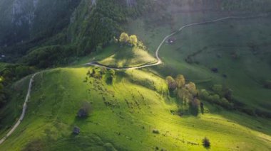 Baharda yeşil tepeli dağ manzarası. Romanya 'nın Apuseni Dağları' ndaki Dumesti köyünün hava manzarası