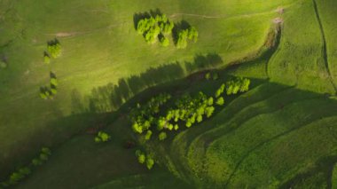 Baharda yeşil tepeli dağ manzarası. Romanya 'nın Apuseni Dağları' ndaki Dumesti köyünün hava manzarası