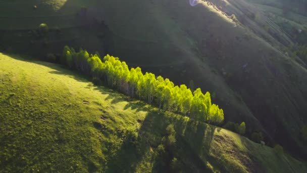 Гірські Краєвиди Зеленими Пагорбами Навесні Вид Повітря Село Думести Гір — стокове відео