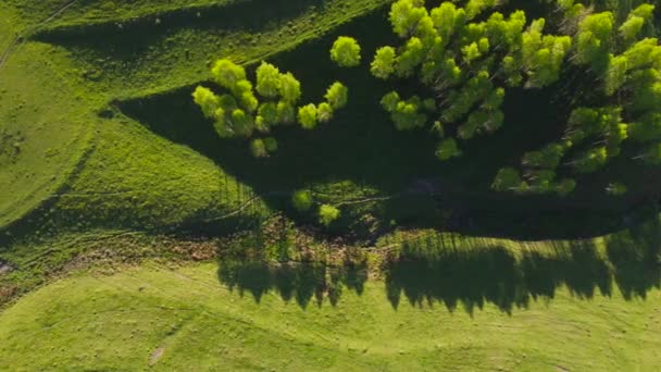 Vue sur la montagne avec collines verdoyantes, au printemps. Vue aérienne du village de Dumesti depuis les monts Apuseni, Roumanie