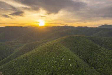 Baharda, yeşil ormanın üzerindeki hava manzarası.
