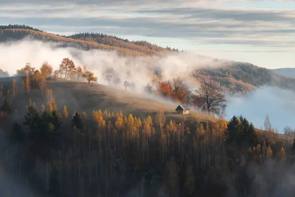 Romanya kırsalında sonbahar sisli manzarası