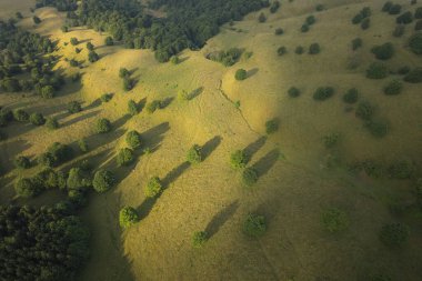 Sıcak gündoğumu ışığında tepeler ve ağaçlarla dolu yaz manzarası