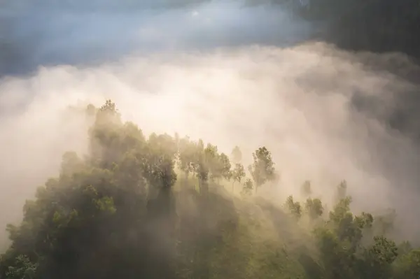 stock image Summer aerial landscape above the foggy forest, in Apuseni Mountains, Romania