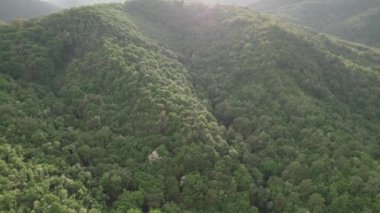 Havadan bakıldığında Karpat Dağları 'nda yeşil bir orman görünüyor.