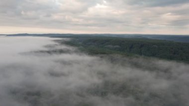Transilvanica Ormanı 'nın yukarısındaki hava sahnesi. Yeşil meşe ağaçlarının üzerindeki sisli manzara