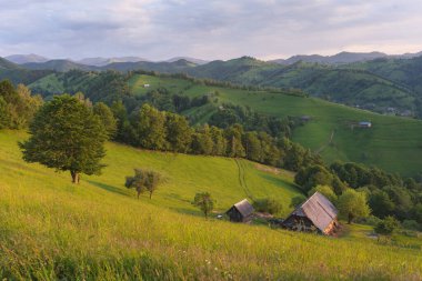 Karpatların Dağ Köyü Transilvanya manzarası yaz manzarası