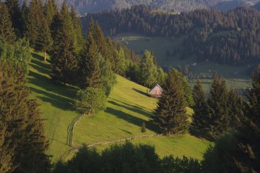 Karpatların Dağ Köyü Transilvanya manzarası yaz manzarası