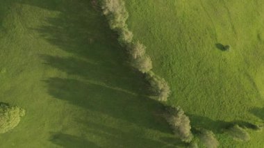 Transilvanya 'daki Karpatların eteğindeki yeşil tepelerin havadan görünüşü. Bran köyünün yaz manzarası