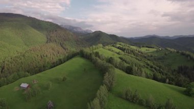 Transilvanya 'daki Karpatların eteğindeki yeşil tepelerin havadan görünüşü. Bran köyünün yaz manzarası