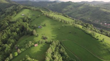 Transilvanya 'daki Karpatların eteğindeki yeşil tepelerin havadan görünüşü. Bran köyünün yaz manzarası