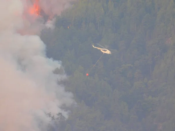 Yangın söndürme helikopteri sabah erken saatlerde orman yangınını söndürmek için yorulmadan su kovası taşır.