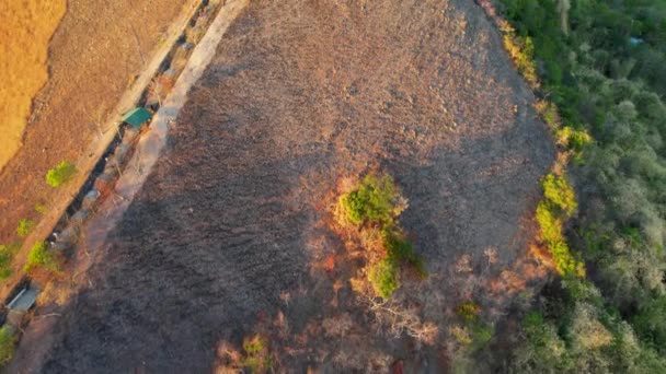 Luchtfoto Drone Video Mount Tapyas Bij Zonsondergang Coron Stad Busuanga — Stockvideo