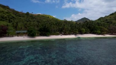 Filipinler sahilindeki palmiye ağaçlarının 4K Hava Aracı videosu