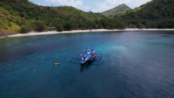 Drohnenvideo Von Palmen Strand Philippinen — Stockvideo