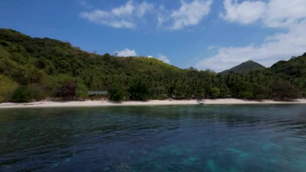Aerial Drone Video Palmeras Una Playa Filipinas — Vídeos de Stock