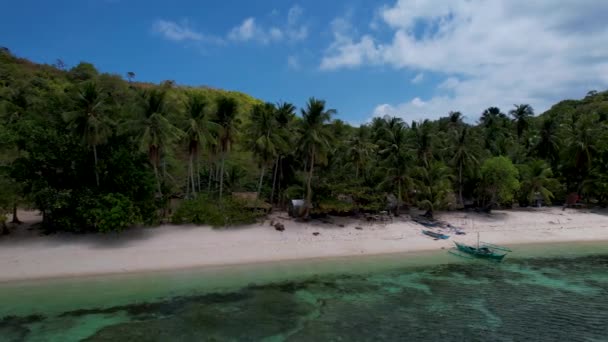 Drone Aéreo Vídeo Palmeiras Uma Praia Filipinas — Vídeo de Stock
