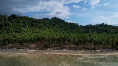 Güneşli bir günde, arkasında bulutlar olan büyülü palmiye ağaçları ve kristal mavi sularla güzel Coconut plajının 4K Hava Aracı videosu. Port Barton, Palawan Filipinleri