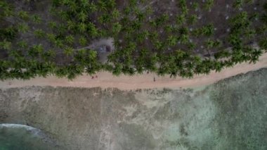 Güneşli bir günde, arkasında bulutlar olan büyülü palmiye ağaçları ve kristal mavi sularla güzel Coconut plajının 4K Hava Aracı videosu. Port Barton, Palawan Filipinleri