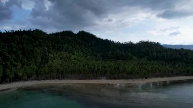 Güneşli bir günde, arkasında bulutlar olan büyülü palmiye ağaçları ve kristal mavi sularla güzel Coconut plajının 4K Hava Aracı videosu. Port Barton, Palawan Filipinleri