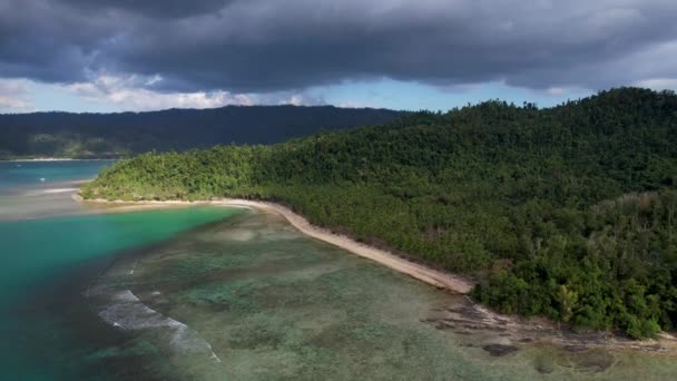 Aerial Drone Vídeo Bela Praia Coco Com Palmeiras Mágicas Águas — Vídeo de Stock