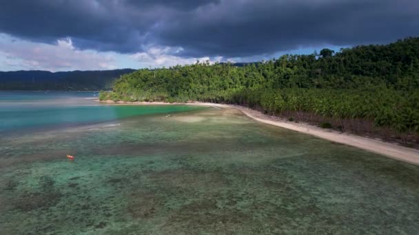 4K空中无人机视频美丽的椰子海滩与神奇的棕榈树和水晶蓝色的水在阳光灿烂的一天与云彩为背景 巴拉旺巴尔顿港菲律宾 — 图库视频影像