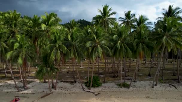 4K空中无人机视频美丽的椰子海滩与神奇的棕榈树和水晶蓝色的水在阳光灿烂的一天与云彩为背景 巴拉旺巴尔顿港菲律宾 — 图库视频影像