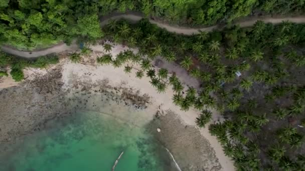 Aerial Drone Wideo Pięknej Plaży Kokosowej Magicznymi Palmami Krystalicznie Niebieskimi — Wideo stockowe