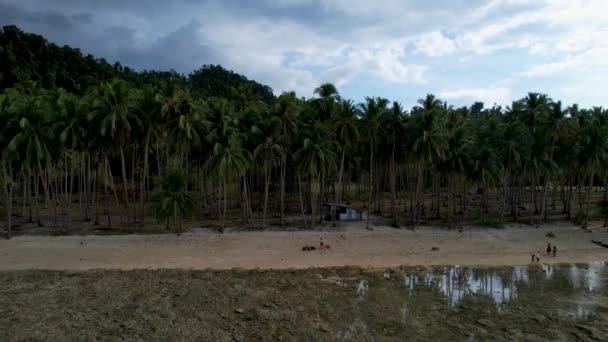 Drohnenvideo Vom Schönen Kokosstrand Mit Magischen Palmen Und Kristallklarem Wasser — Stockvideo