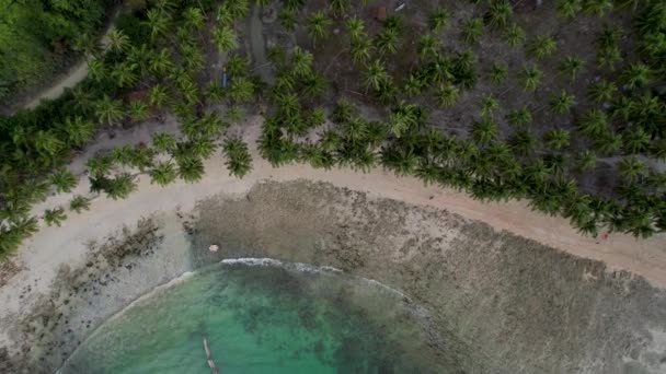 Aerial Drone Vídeo Bela Praia Coco Com Palmeiras Mágicas Águas — Vídeo de Stock