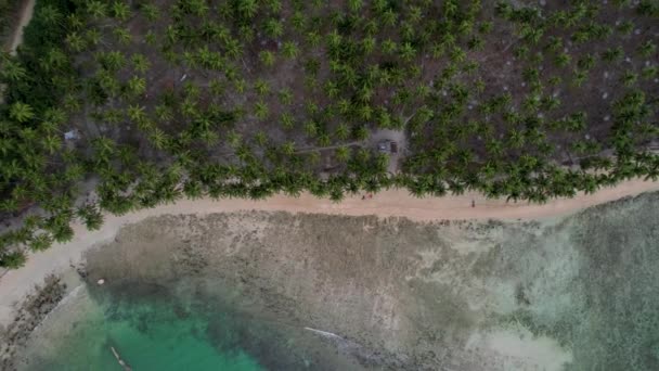 Aerial Drone Video Hermosa Playa Coco Con Mágicas Palmeras Aguas — Vídeos de Stock
