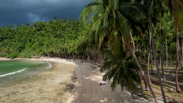 배경에 구름이있는 마법의 야자수와 크리스탈 워터가있는 아름다운 코코넛 해변의 비디오 — 비디오