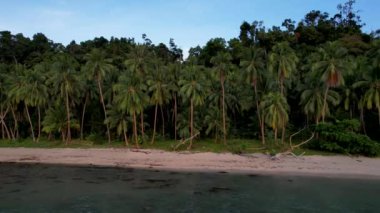 Gün batımında harika palmiye ağaçları ve kristal berrak mavi suyu olan güzel White Beach 'in 4K Hava Aracı videosu. Barton Limanı, Filipinler