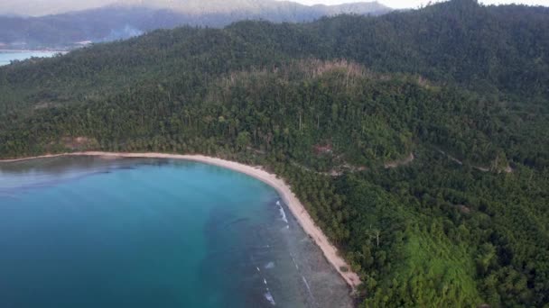 Vídeo Drone Aéreo Bela Praia Branca Com Grandes Palmeiras Água — Vídeo de Stock