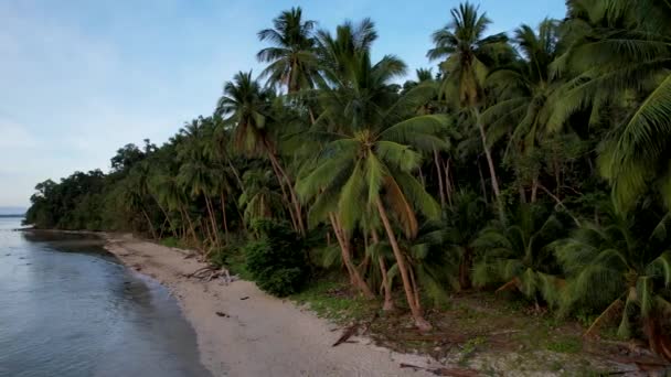Gün Batımında Harika Palmiye Ağaçları Kristal Berrak Mavi Suyu Olan — Stok video