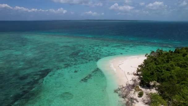 4K帕塔万岛上的空中无人机视频 白色的沙子和碧蓝的海水美丽极了 小船停泊在海滩上 中间有棕榈树 菲律宾巴拉巴茨 — 图库视频影像
