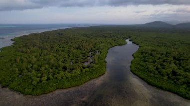 Filipinler 'de gün batımında bir adada canlı yeşil mangrovların ve kristal berrak suyun 4K Hava Aracı videosu