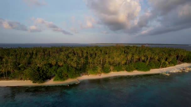 Aerial Drone Video Vívidos Manglares Verdes Aguas Cristalinas Una Isla — Vídeos de Stock
