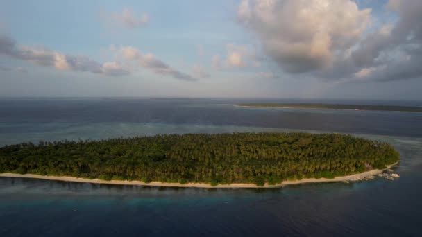 Aerial Drone Video Van Levendige Groene Mangroven Kristalhelder Water Een — Stockvideo