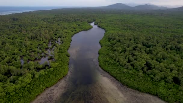 Drone Aéreo Vídeo Manguezais Verdes Vívidos Água Cristalina Uma Ilha — Vídeo de Stock