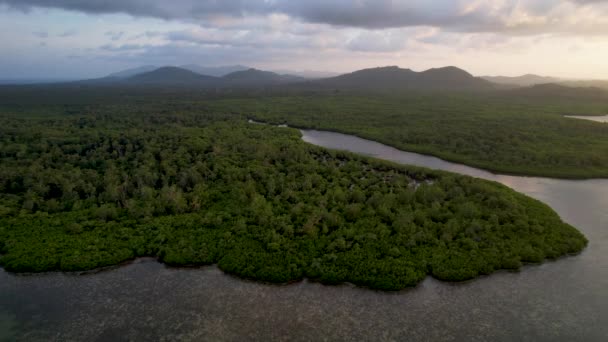 Filipinler Gün Batımında Bir Adada Canlı Yeşil Mangrovların Kristal Berrak — Stok video