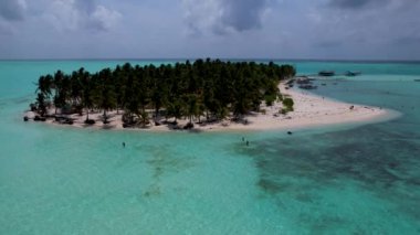 4K Hava Aracı güzel tropikal ada Onok 'un beyaz kum plajları, kaplumbağaları, tekneleri ve turkuaz mavisi sularıyla çekilmiş videosu Balabac, Filipinler