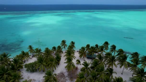 Hava Aracı Güzel Tropikal Ada Onok Beyaz Kum Plajları Kaplumbağaları — Stok video