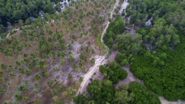 Filipinler 'de gün batımında bir adada canlı yeşil mangrovların ve kristal berrak suyun 4K Hava Aracı videosu