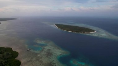 Filipinler 'de gün batımında bir adada canlı yeşil mangrovların ve kristal berrak suyun 4K Hava Aracı videosu